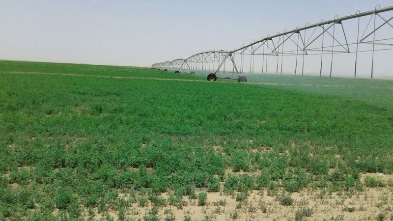 السعودية تعرض نجاح تجربتها في التنمية الزراعية المستدامة أمام مجموعة العشرين