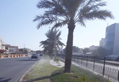 بلدية المنطقة الجنوبية تطلق مبادرة جديدة لنظام الري باستخدام الطاقة الشمسية