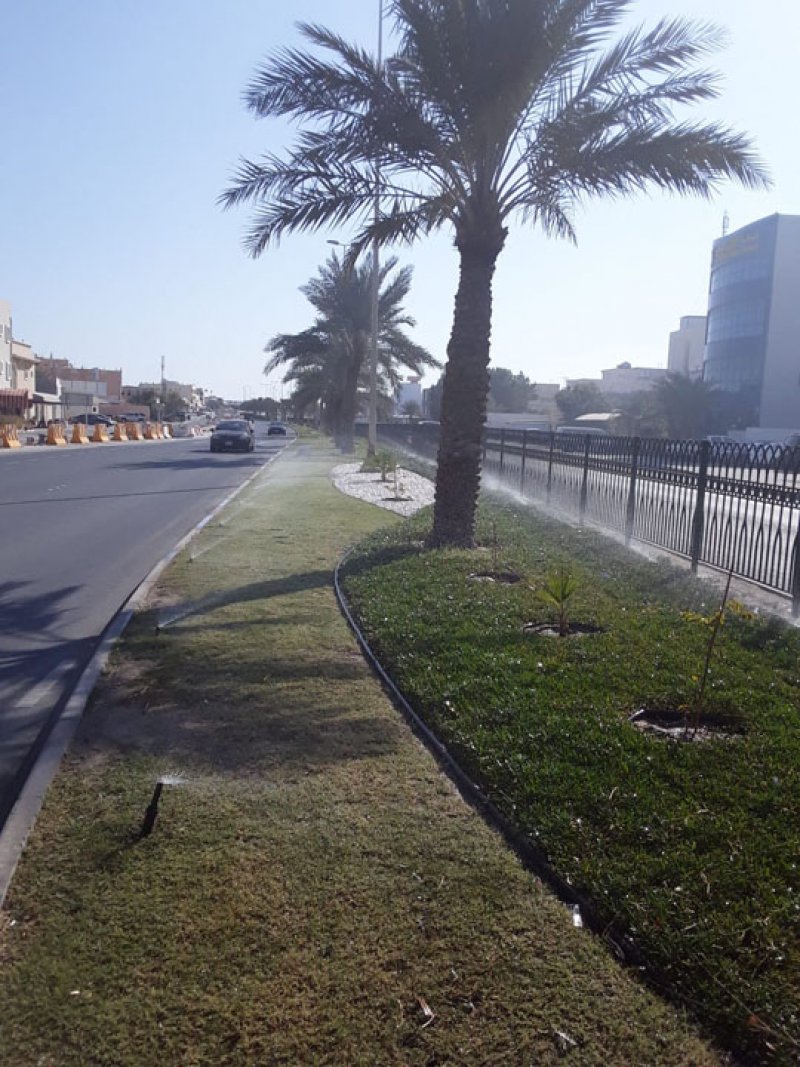 بلدية المنطقة الجنوبية تطلق مبادرة جديدة لنظام الري باستخدام الطاقة الشمسية