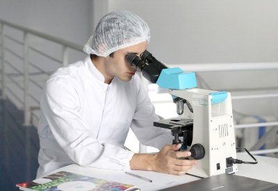 أجانب الوظائف الحكومية يتمتعون بخبرات متميزة ويحملون مؤهلات نادرة