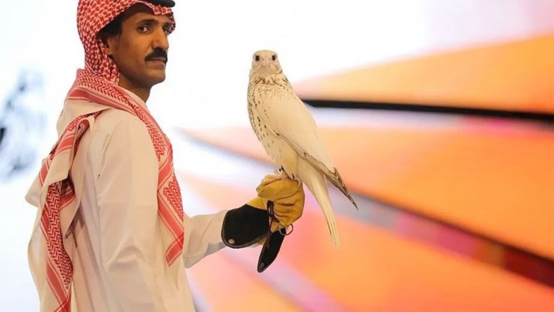 أغلى صقر بالعالم.. بيع بمزاد دولي للصقور في السعودية وهذا ثمنه