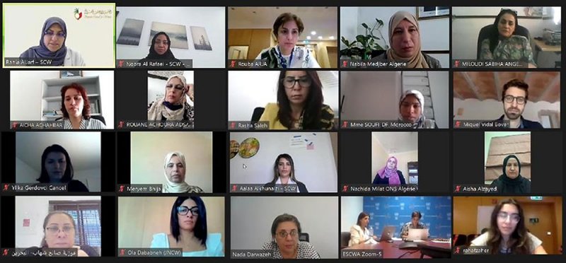 "الأعلى للمرأة" يشارك في برنامج تدريبي في مجال تطوير وإصلاح سياسات الرعاية والحماية الاجتماعية لتمكين المرأة اقتصاديا  