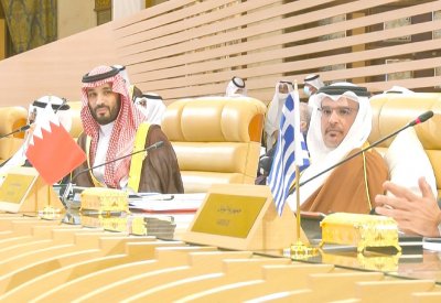 سمو ولي العهد رئيس الوزراء يؤكد أهمية المبادرات السعودية الهادفة لحماية البيئة