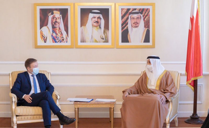 وكيل الخارجية يبحث مع وفد البرلمان الأوروبي تعزيز التعاون المشترك