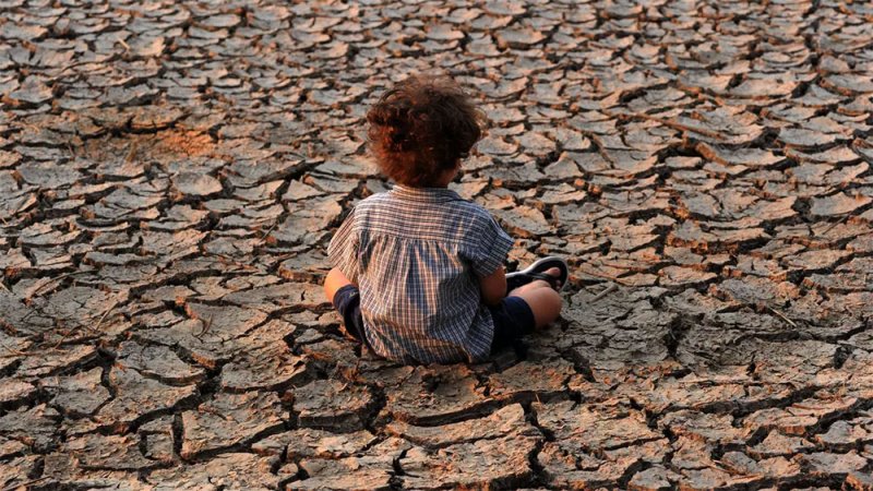 آبل: الشركات مثل الدول ملزمة أيضاً بالتصدي إلى التغير المناخي