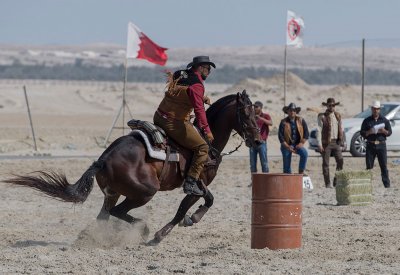 لجنة رعاة الخيل تعتمد حزمة من الفعاليات في الموسم الجديد