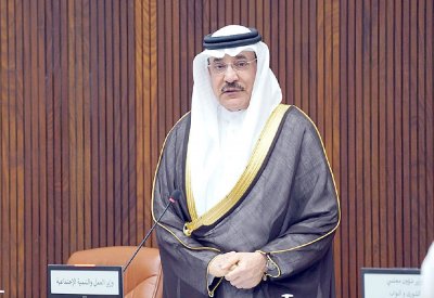حميدان: التوظيف بكل المجتمعات يواجه تحديات كبيرة