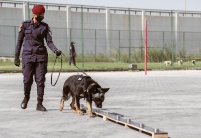 "الداخلية": دراسة للتعرف على أساليب جديدة للكشف بدقة عن القضايا والجرائم