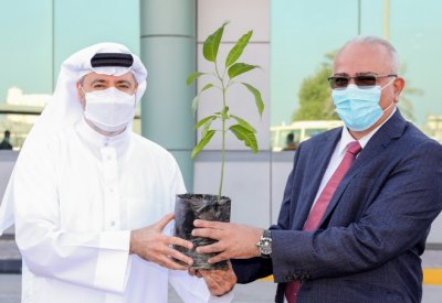 ألبا تدعم المبادرات الوطنية لمواجهة التغير المناخي بحملة (شجرة لكل موظف)