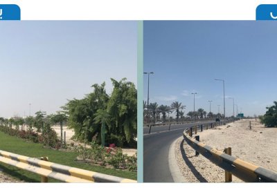 بلدية المنطقة الجنوبية تستكمل تطوير شارع الشيخ سلمان بزراعة 1770 شجرة وشجيرة