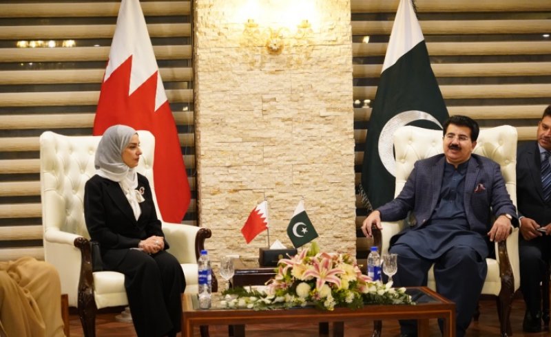 رئيسة مجلس النواب: شراكة برلمانية لدعم مسارات التعاون مع باكستان