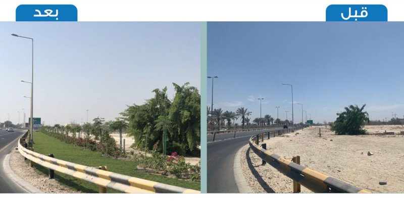 بلدية المنطقة الجنوبية تستكمل تطوير شارع الشيخ سلمان بزراعة 1770 شجرة وشجيرة