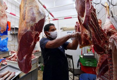 الأردن.. "الغذاء والدواء" تنفي بيع لحوم حمير بمنشآت في عمّان
