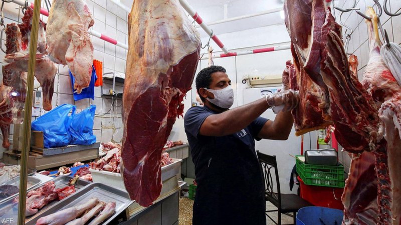 الأردن.. "الغذاء والدواء" تنفي بيع لحوم حمير بمنشآت في عمّان