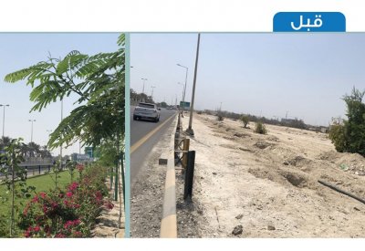 بلدية الجنوبية تنفذ المرحلة الثانية من تطوير شارع الشيخ سلمان بزراعة 1770 شجرة وشجيرة