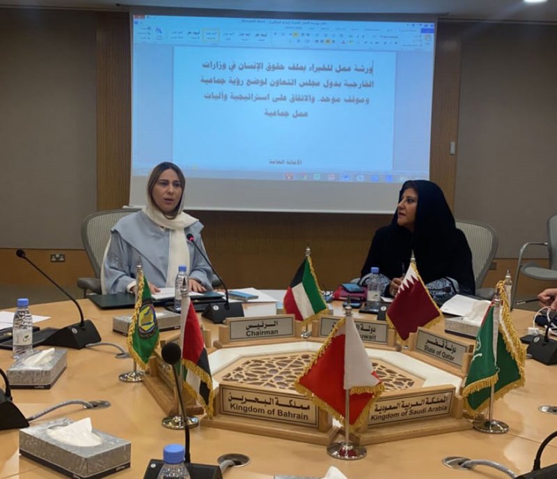 رئيس قطاع حقوق الإنسان بوزارة الخارجية تترأس ورشة عمل للخبراء بملف حقوق الإنسان
