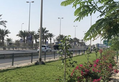 بلدية المنطقة الجنوبية تنفذ المرحلة الثانية من تطوير شارع الشيخ سلمان بزراعة 1770 شجرة وشجيرة
