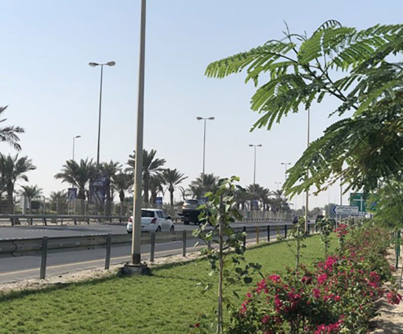 بلدية المنطقة الجنوبية تنفذ المرحلة الثانية من تطوير شارع الشيخ سلمان بزراعة 1770 شجرة وشجيرة