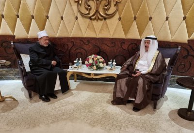 عبدالرحمن بن محمد يلتقي شيخ الأزهر في أبوظبي