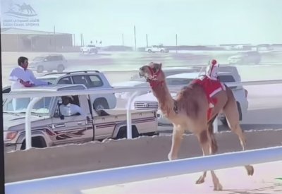ناصر بن حمد يشيد بانتصار صمت ولاضي في كأس وزارة الرياضة للهجن بالسعودية