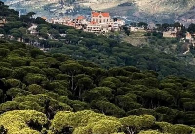 لبنان.. "جنة الصنوبر" تفوز بـ"أفضل القرى السياحية في العالم"