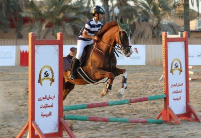 نادي عالي للفروسية ينظم بطولة العيد الوطني لقفز الحواجز