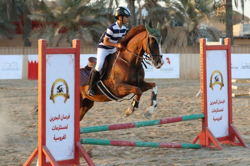 نادي عالي للفروسية ينظم بطولة العيد الوطني لقفز الحواجز