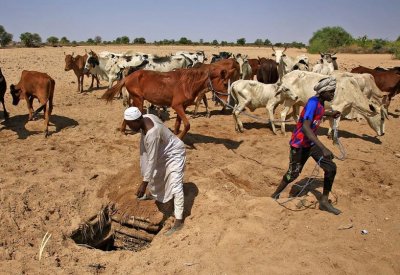 غرب دارفور ينزف ثانية.. مقتل 138 جراء نهب الإبل