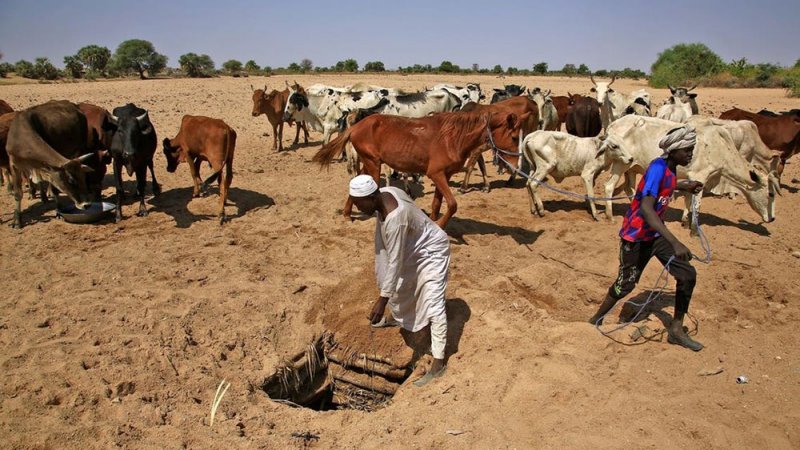 غرب دارفور ينزف ثانية.. مقتل 138 جراء نهب الإبل