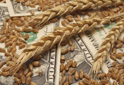 مصر.. 2.08 مليار دولار واردات القمح في 9 أشهر