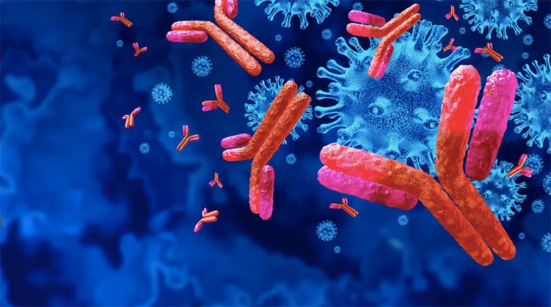 خبر ولا أروع… مصابو أوميكرون يهزمون كافة متحورات كورونا