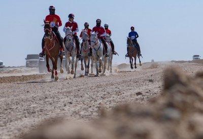 عيسى بن عبدالله: فخورون بتنظيم سباق خالد بن حمد للقدرة.. والمنافسة دائماً قوية