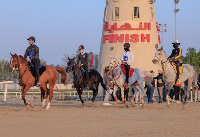 مشاركة كبيرة في السباقات التأهيلية.. والسبت السباق الكبير على كأس خالد بن حمد