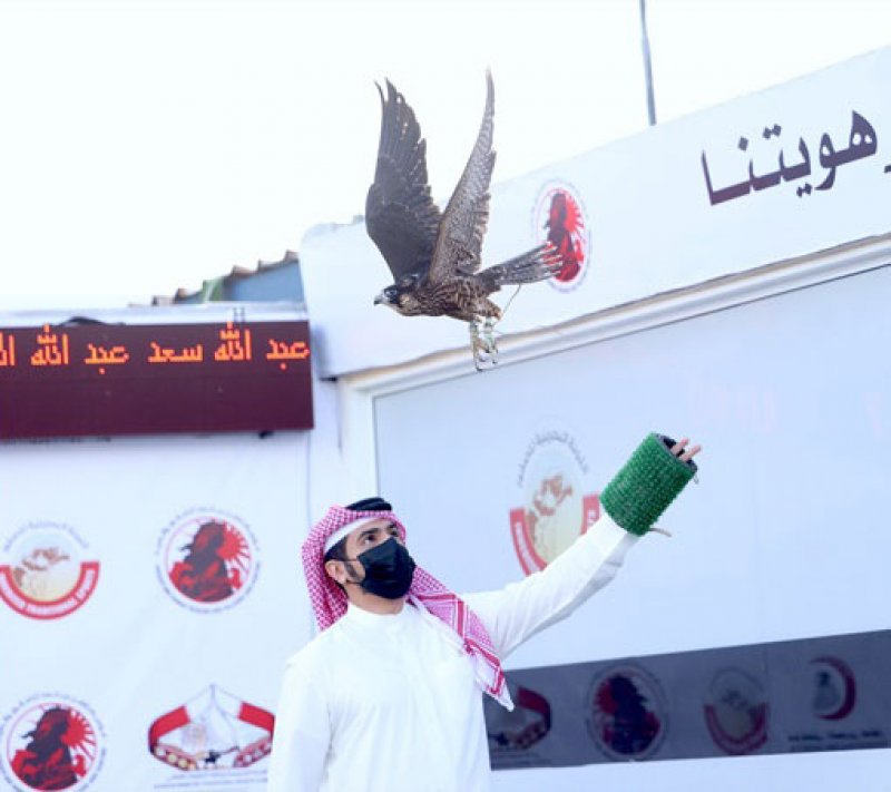 ضمن موسم ناصر بن حمد للصقور والصيد.. أشواط المحترفين تشعل بطولة خالد بن حمد
