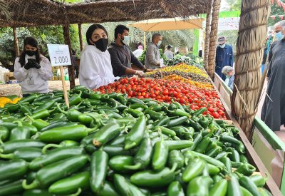 بالصور: إقبال جماهيري بحريني وخليجي على سوق المزارعين