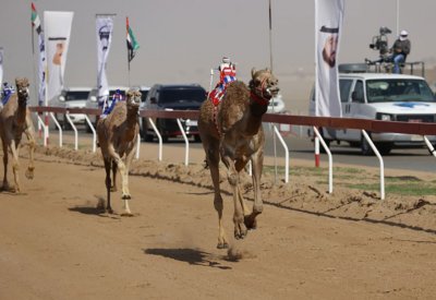 "الطويلة" تحرز كأس صاحب السمو رئيس دولة الإمارات الشقيقة في مهرجان أم القيوين