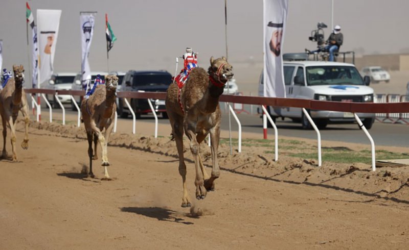 "الطويلة" تحرز كأس صاحب السمو رئيس دولة الإمارات الشقيقة في مهرجان أم القيوين