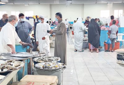 الروبيان والأسماك متوافرة في السوق بكميات كبيرة