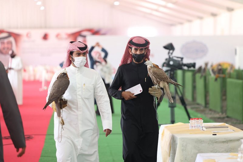 صقارو البحرين يتألقون في بطولة ناصر بن حمد الدولية