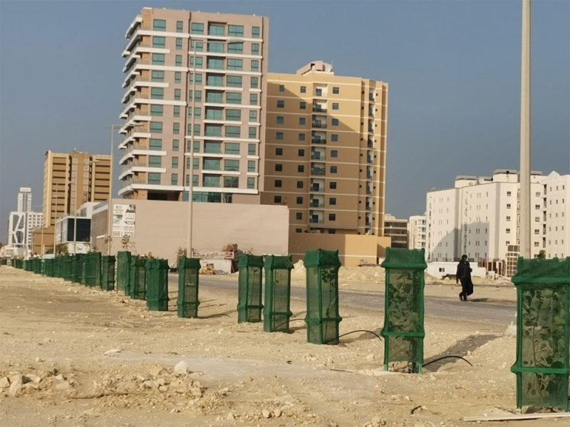 بلدية المحرق تنتهي من تجميل وتشجير الشارع الداخلي الموازي لشارع جسر الشيخ خليفة بن سلمان