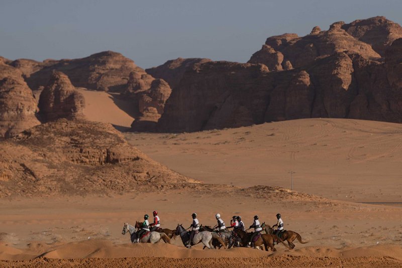 الفريق الملكي يشارك في الفحص البيطري لكأس خادم الحرمين الشريفين للقدرة