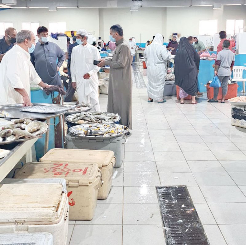 الروبيان والأسماك متوافرة في السوق بكميات كبيرة