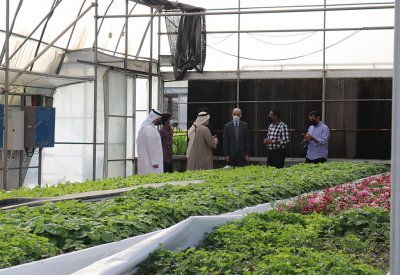 الحواج: قطعنا شوطاً كبيراً في سبيل إنتاج 135 نوعاً نباتياً في "الحاضنات الزراعية"