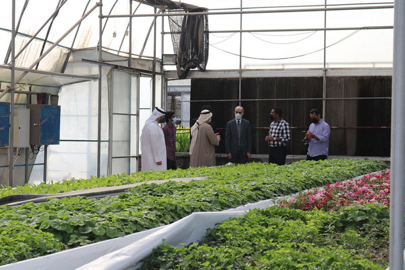 الحواج: قطعنا شوطاً كبيراً في سبيل إنتاج 135 نوعاً نباتياً في "الحاضنات الزراعية"