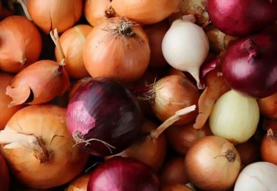 البصل لعلاج تساقط الشعر