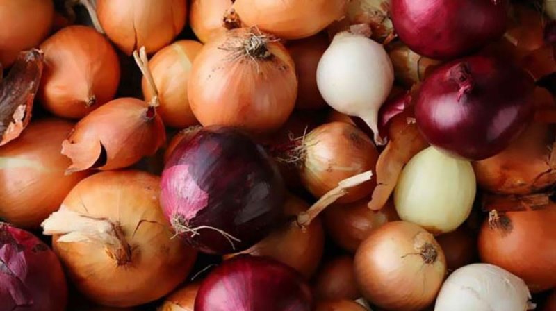 البصل لعلاج تساقط الشعر