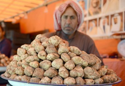 الزعاق: الفقع أحد عناصر مثلث السعادة عند العرب