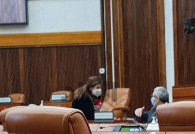 صور بعدسة البلاد للنائب سوسن بقاعة المجلس
