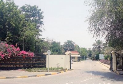 "الزراعة": بدء التسجيل لدورة تدريبية بمجال إكثار والعناية بالأشجار المثمرة