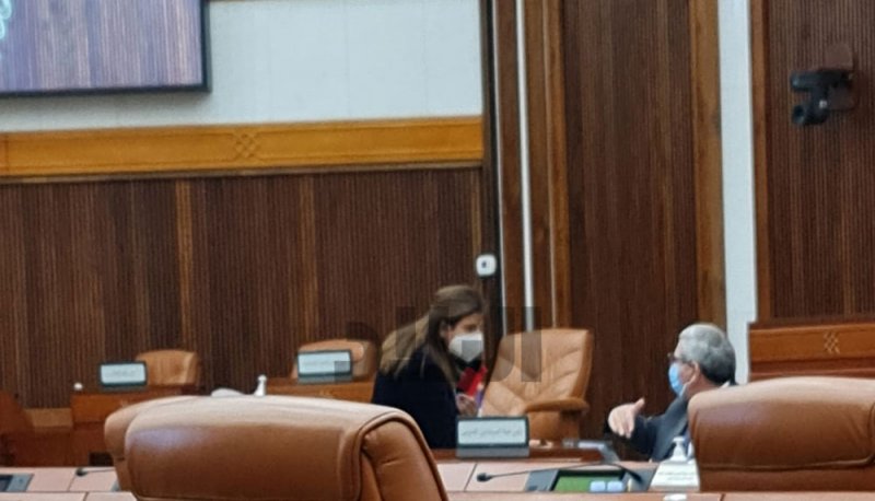 صور بعدسة البلاد للنائب سوسن بقاعة المجلس